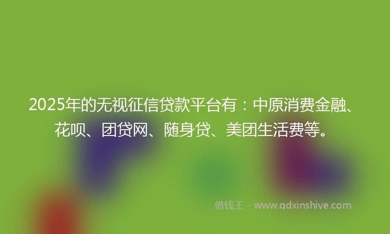2025年的无视征信贷款平台有：中原消费金融、花呗、团贷网、随身贷、美团生活费等。