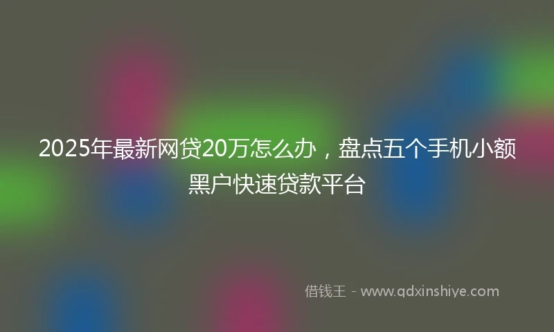 2025年最新网贷20万怎么办，盘点五个手机小额黑户快速贷款平台