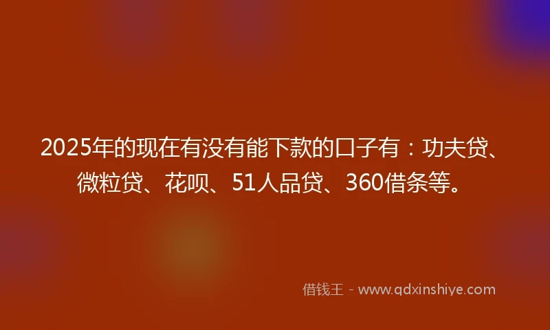 2025年的现在有没有能下款的口子有：功夫贷、微粒贷、花呗、51人品贷、360借条等。