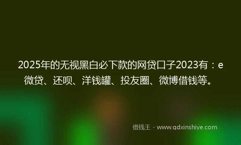 2025年的无视黑白必下款的网贷口子2023有：e微贷、还呗、洋钱罐、投友圈、微博借钱等。