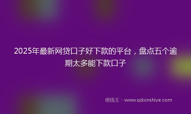 2025年最新网贷口子好下款的平台，盘点五个逾期太多能下款口子