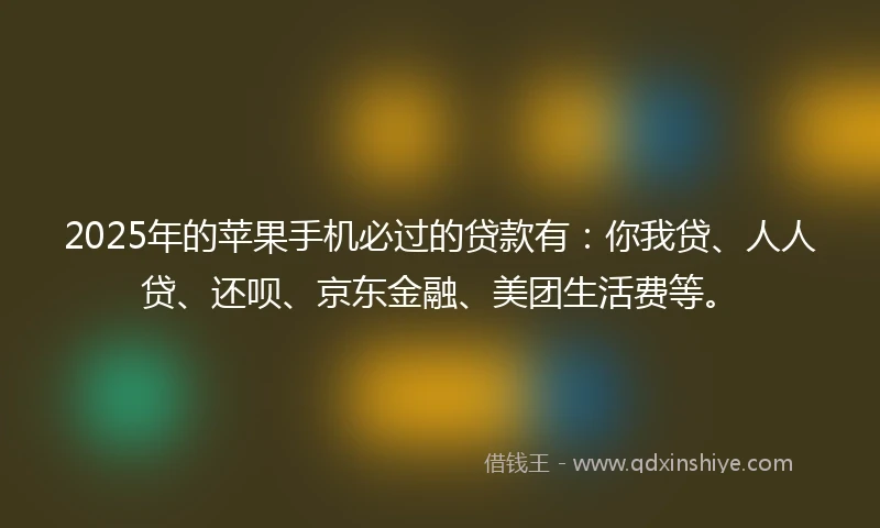 2025年的苹果手机必过的贷款有：你我贷、人人贷、还呗、京东金融、美团生活费等。