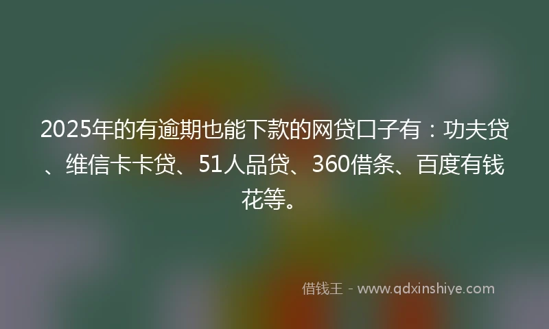 2025年的有逾期也能下款的网贷口子有：功夫贷、维信卡卡贷、51人品贷、360借条、百度有钱花等。