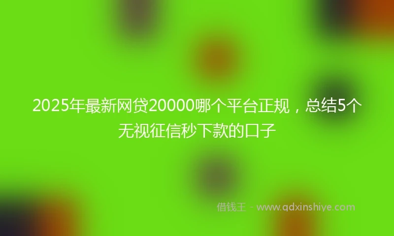 2025年最新网贷20000哪个平台正规，总结5个无视征信秒下款的口子