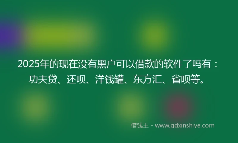 2025年的现在没有黑户可以借款的软件了吗有：功夫贷、还呗、洋钱罐、东方汇、省呗等。