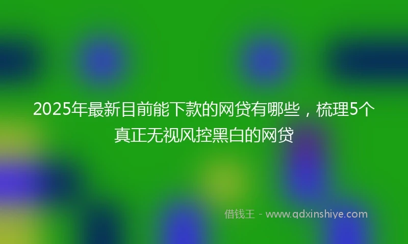 2025年最新目前能下款的网贷有哪些，梳理5个真正无视风控黑白的网贷