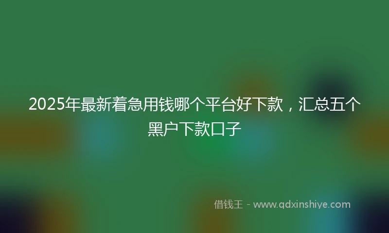 2025年最新着急用钱哪个平台好下款，汇总五个黑户下款口子