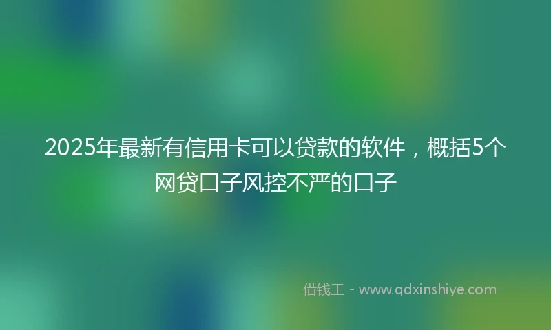 2025年最新有信用卡可以贷款的软件，概括5个网贷口子风控不严的口子