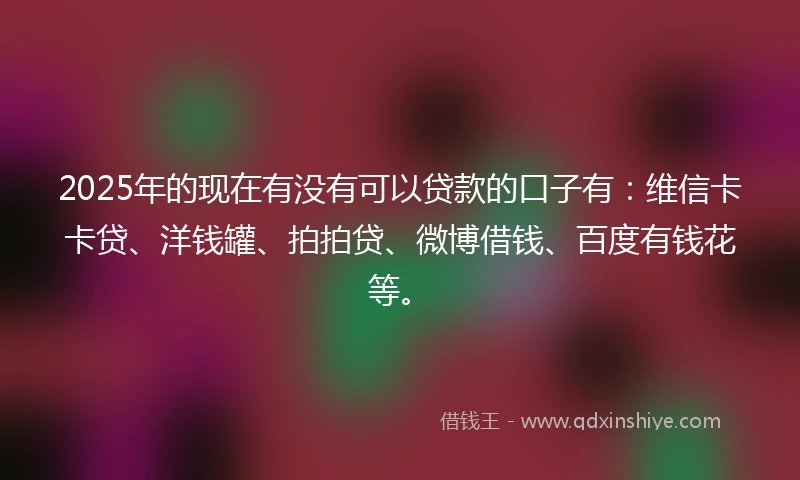 2025年的现在有没有可以贷款的口子有：维信卡卡贷、洋钱罐、拍拍贷、微博借钱、百度有钱花等。