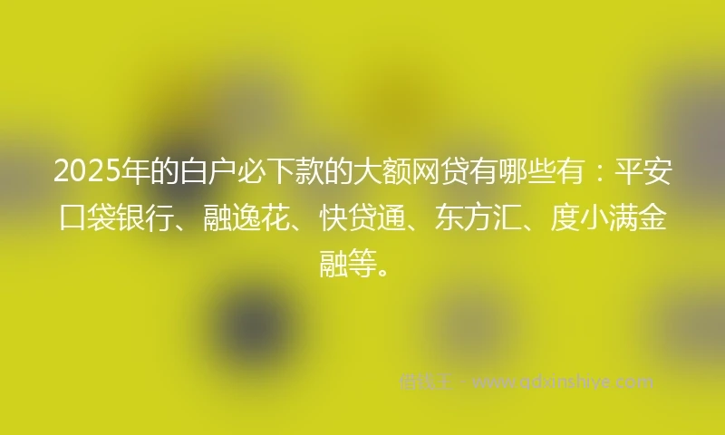 2025年的白户必下款的大额网贷有哪些有：平安口袋银行、融逸花、快贷通、东方汇、度小满金融等。