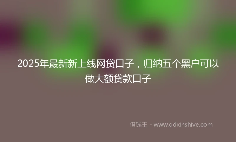 2025年最新新上线网贷口子，归纳五个黑户可以做大额贷款口子