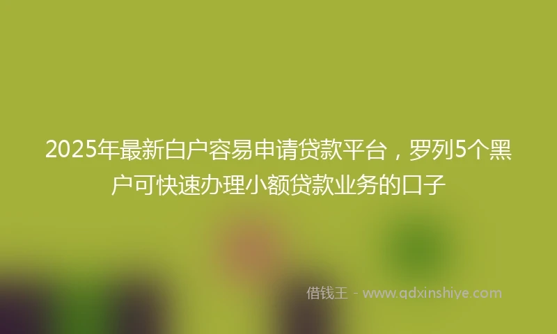 2025年最新白户容易申请贷款平台，罗列5个黑户可快速办理小额贷款业务的口子