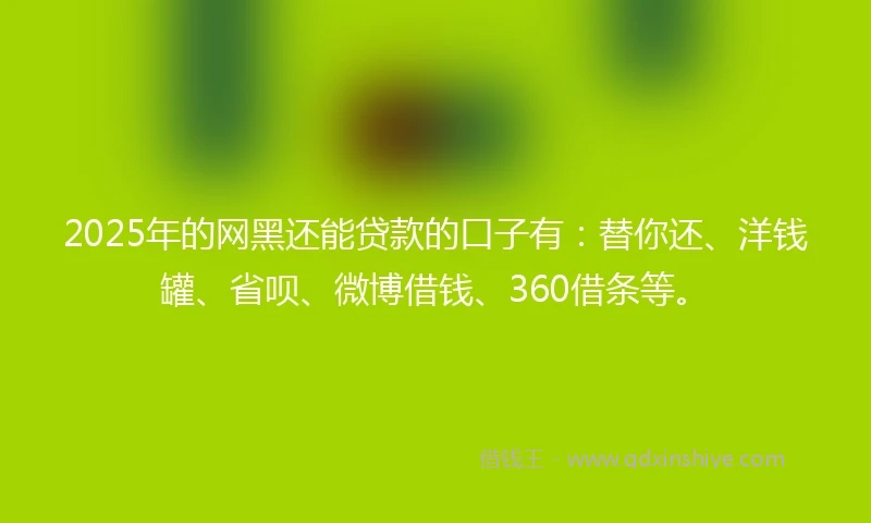 2025年的网黑还能贷款的口子有：替你还、洋钱罐、省呗、微博借钱、360借条等。