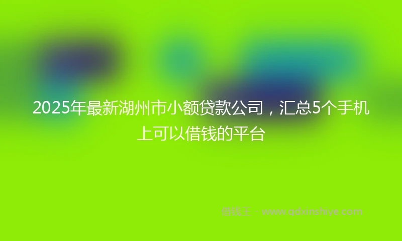 2025年最新湖州市小额贷款公司，汇总5个手机上可以借钱的平台