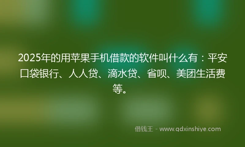2025年的用苹果手机借款的软件叫什么有：平安口袋银行、人人贷、滴水贷、省呗、美团生活费等。