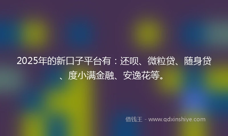 2025年的新口子平台有：还呗、微粒贷、随身贷、度小满金融、安逸花等。