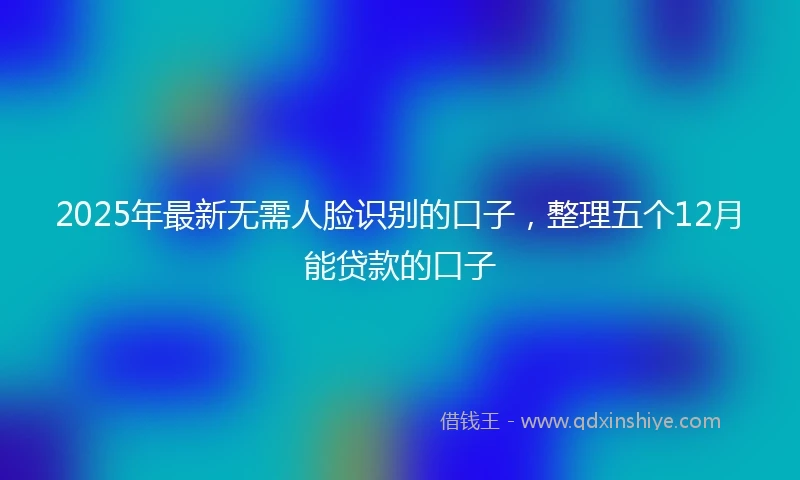 2025年最新无需人脸识别的口子，整理五个12月能贷款的口子