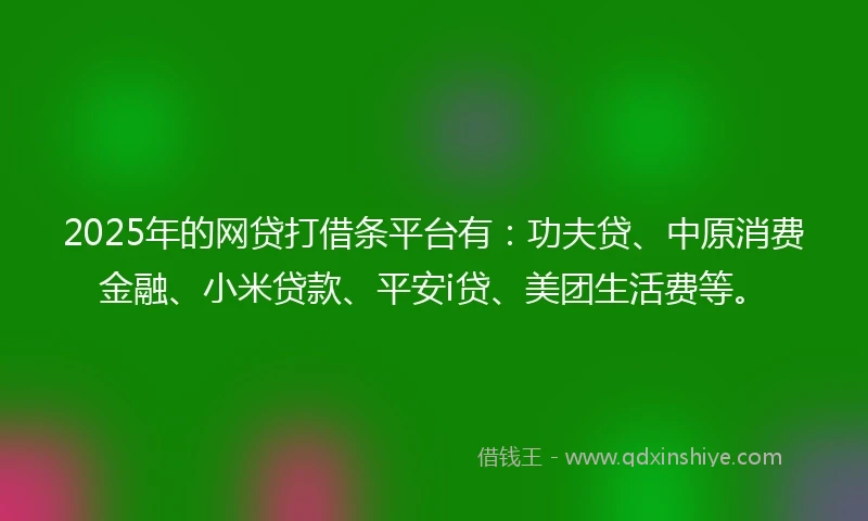 2025年的网贷打借条平台有：功夫贷、中原消费金融、小米贷款、平安i贷、美团生活费等。