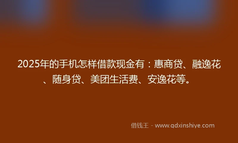 2025年的手机怎样借款现金有：惠商贷、融逸花、随身贷、美团生活费、安逸花等。