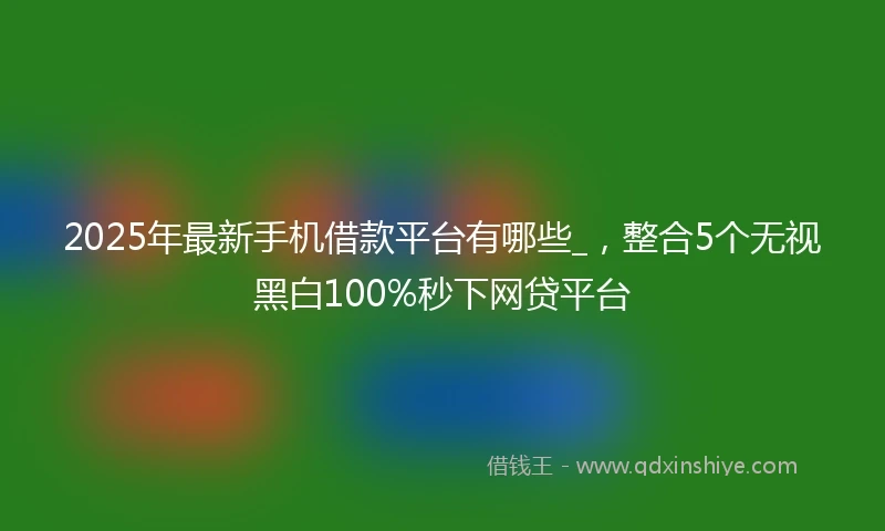 2025年最新手机借款平台有哪些_，整合5个无视黑白100%秒下网贷平台
