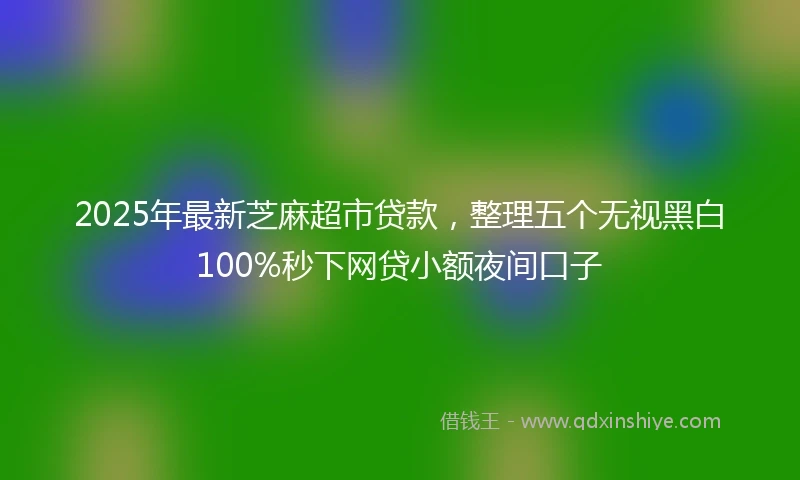 2025年最新芝麻超市贷款，整理五个无视黑白100%秒下网贷小额夜间口子