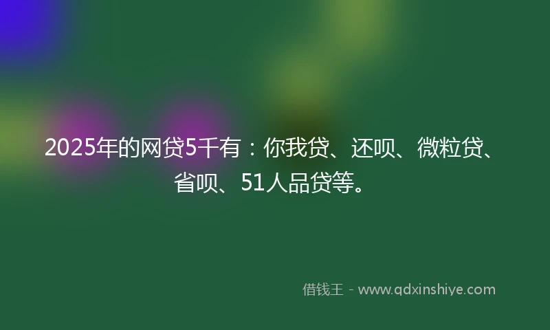 2025年的网贷5千有：你我贷、还呗、微粒贷、省呗、51人品贷等。