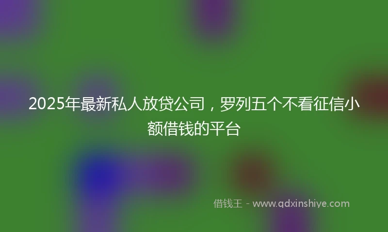 2025年最新私人放贷公司，罗列五个不看征信小额借钱的平台