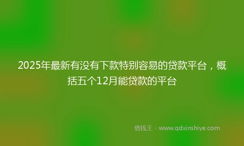 2025年最新有没有下款特别容易的贷款平台，概括五个12月能贷款的平台