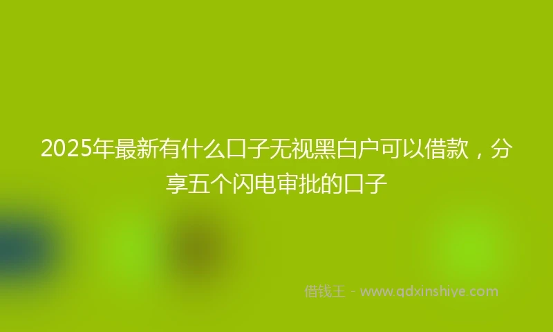 2025年最新有什么口子无视黑白户可以借款，分享五个闪电审批的口子