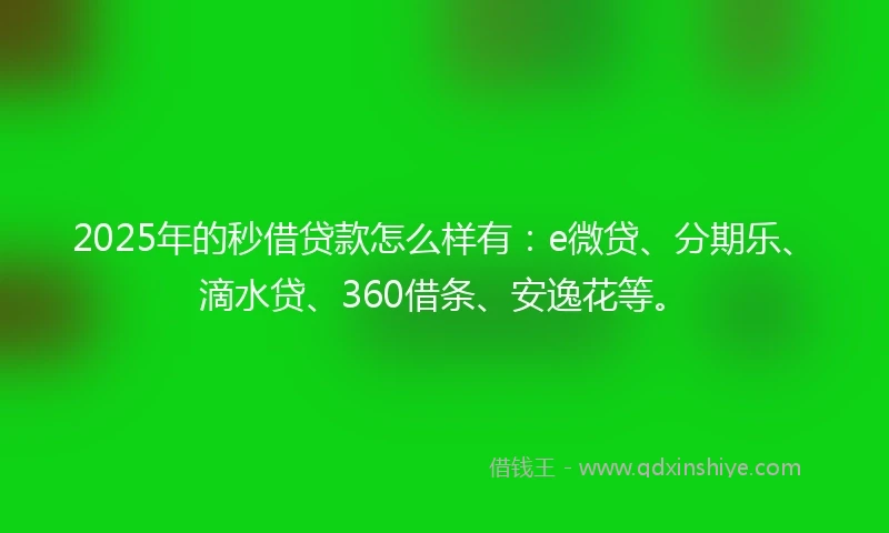 2025年的秒借贷款怎么样有：e微贷、分期乐、滴水贷、360借条、安逸花等。