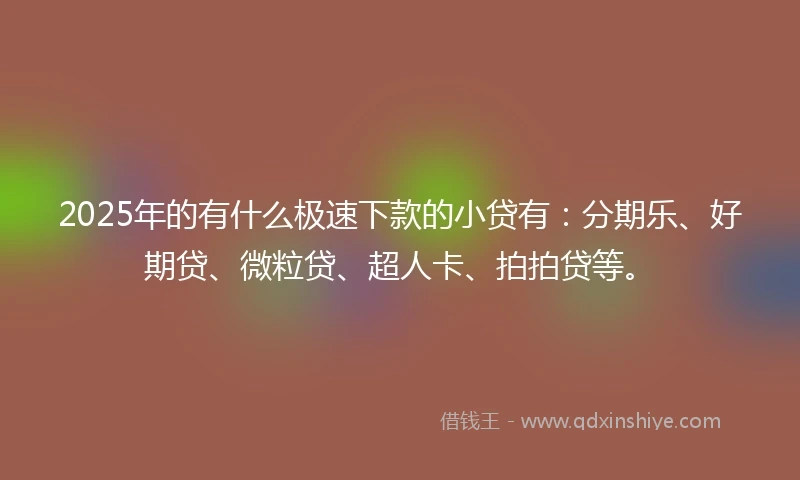 2025年的有什么极速下款的小贷有：分期乐、好期贷、微粒贷、超人卡、拍拍贷等。
