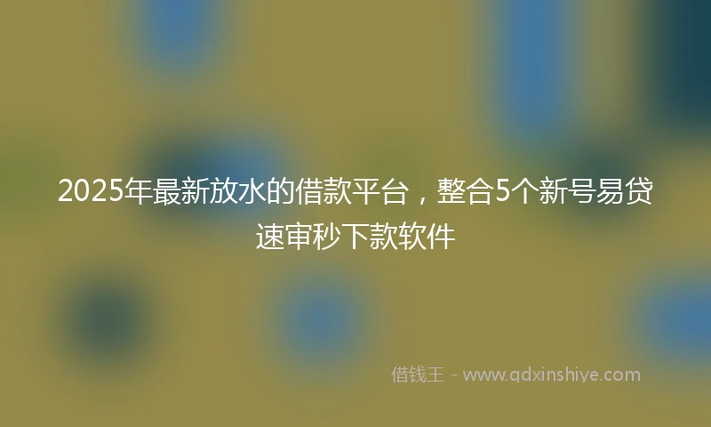 2025年最新放水的借款平台，整合5个新号易贷速审秒下款软件