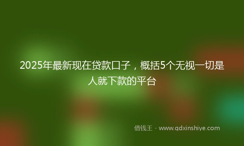 2025年最新现在贷款口子，概括5个无视一切是人就下款的平台