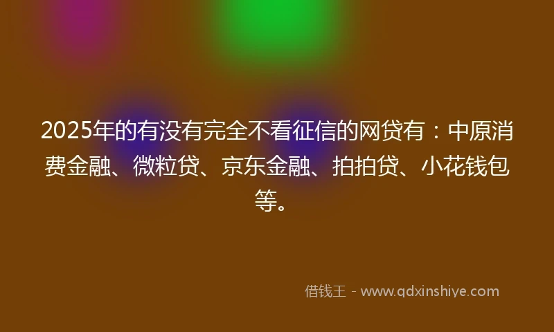 2025年的有没有完全不看征信的网贷有：中原消费金融、微粒贷、京东金融、拍拍贷、小花钱包等。