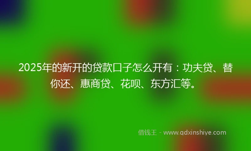 2025年的新开的贷款口子怎么开有：功夫贷、替你还、惠商贷、花呗、东方汇等。