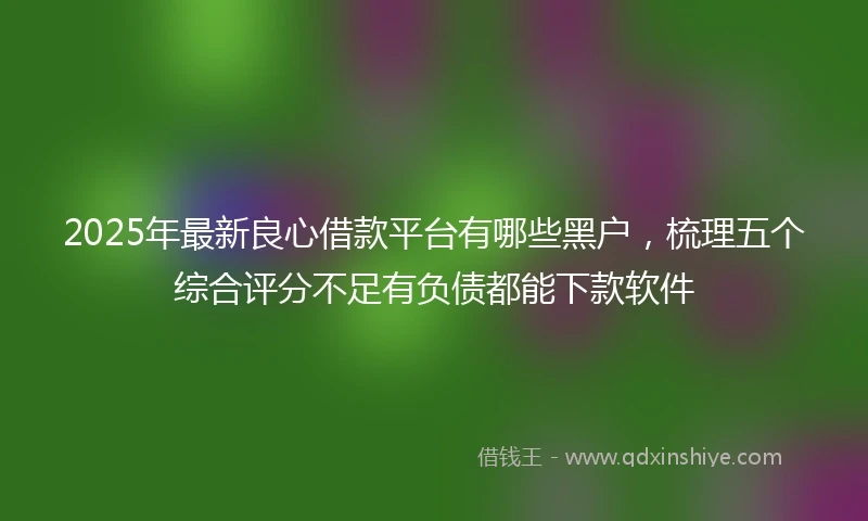 2025年最新良心借款平台有哪些黑户，梳理五个综合评分不足有负债都能下款软件