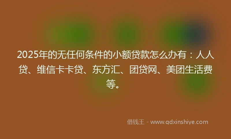 2025年的无任何条件的小额贷款怎么办有：人人贷、维信卡卡贷、东方汇、团贷网、美团生活费等。