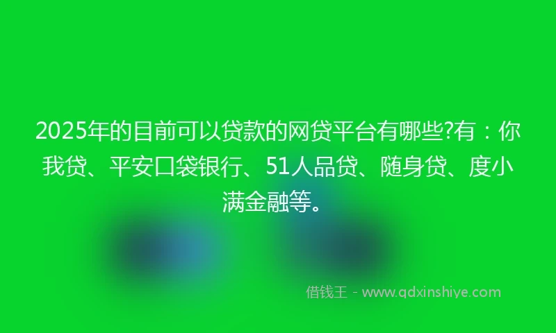 2025年的目前可以贷款的网贷平台有哪些?有：你我贷、平安口袋银行、51人品贷、随身贷、度小满金融等。