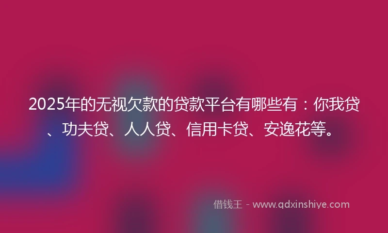 2025年的无视欠款的贷款平台有哪些有：你我贷、功夫贷、人人贷、信用卡贷、安逸花等。