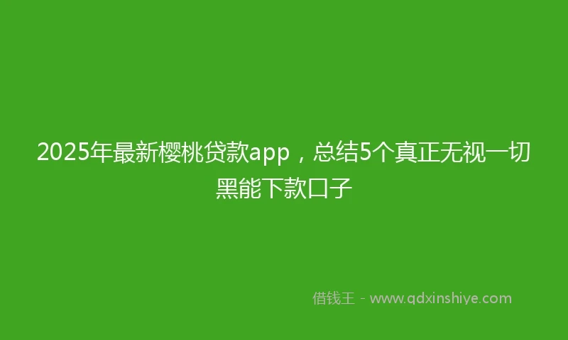 2025年最新樱桃贷款app，总结5个真正无视一切黑能下款口子