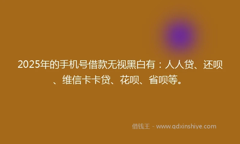 2025年的手机号借款无视黑白有：人人贷、还呗、维信卡卡贷、花呗、省呗等。