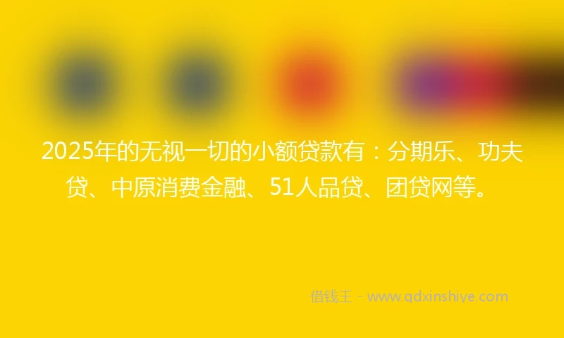 2025年的无视一切的小额贷款有：分期乐、功夫贷、中原消费金融、51人品贷、团贷网等。