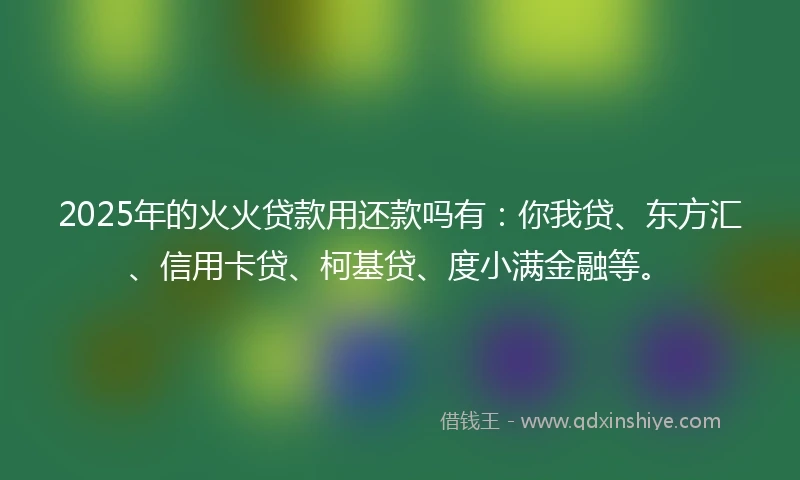 2025年的火火贷款用还款吗有：你我贷、东方汇、信用卡贷、柯基贷、度小满金融等。