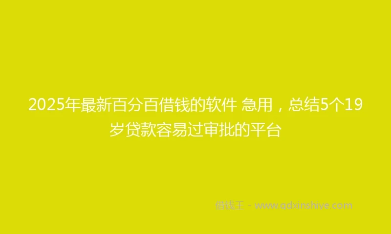2025年最新百分百借钱的软件 急用，总结5个19岁贷款容易过审批的平台