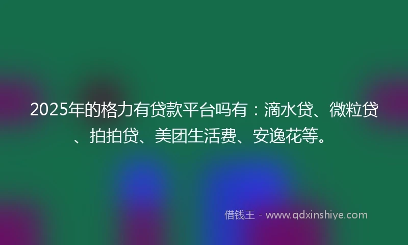2025年的格力有贷款平台吗有：滴水贷、微粒贷、拍拍贷、美团生活费、安逸花等。