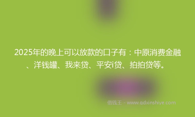 2025年的晚上可以放款的口子有：中原消费金融、洋钱罐、我来贷、平安i贷、拍拍贷等。