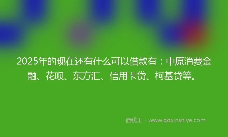 2025年的现在还有什么可以借款有：中原消费金融、花呗、东方汇、信用卡贷、柯基贷等。