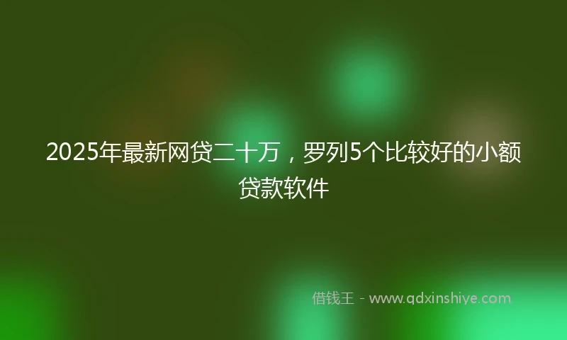 2025年最新网贷二十万，罗列5个比较好的小额贷款软件