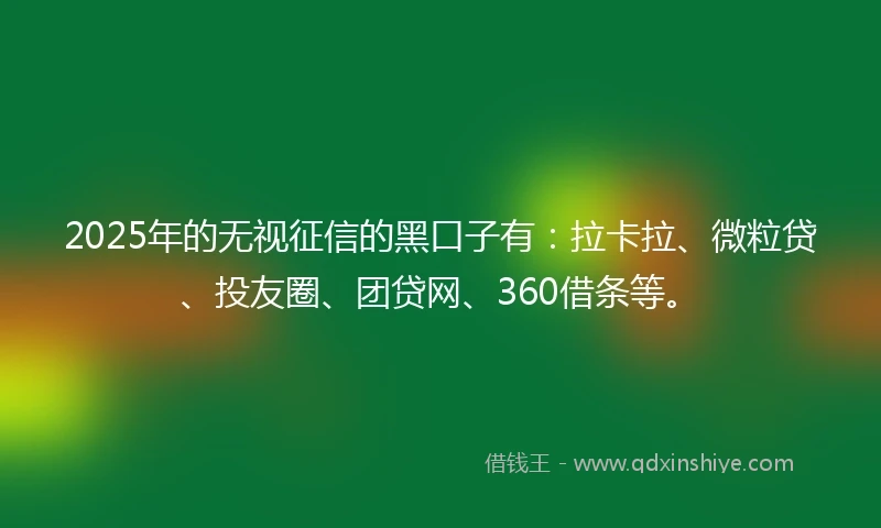 2025年的无视征信的黑口子有：拉卡拉、微粒贷、投友圈、团贷网、360借条等。
