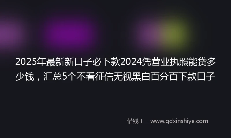 2025年最新新口子必下款2024凭营业执照能贷多少钱，汇总5个不看征信无视黑白百分百下款口子